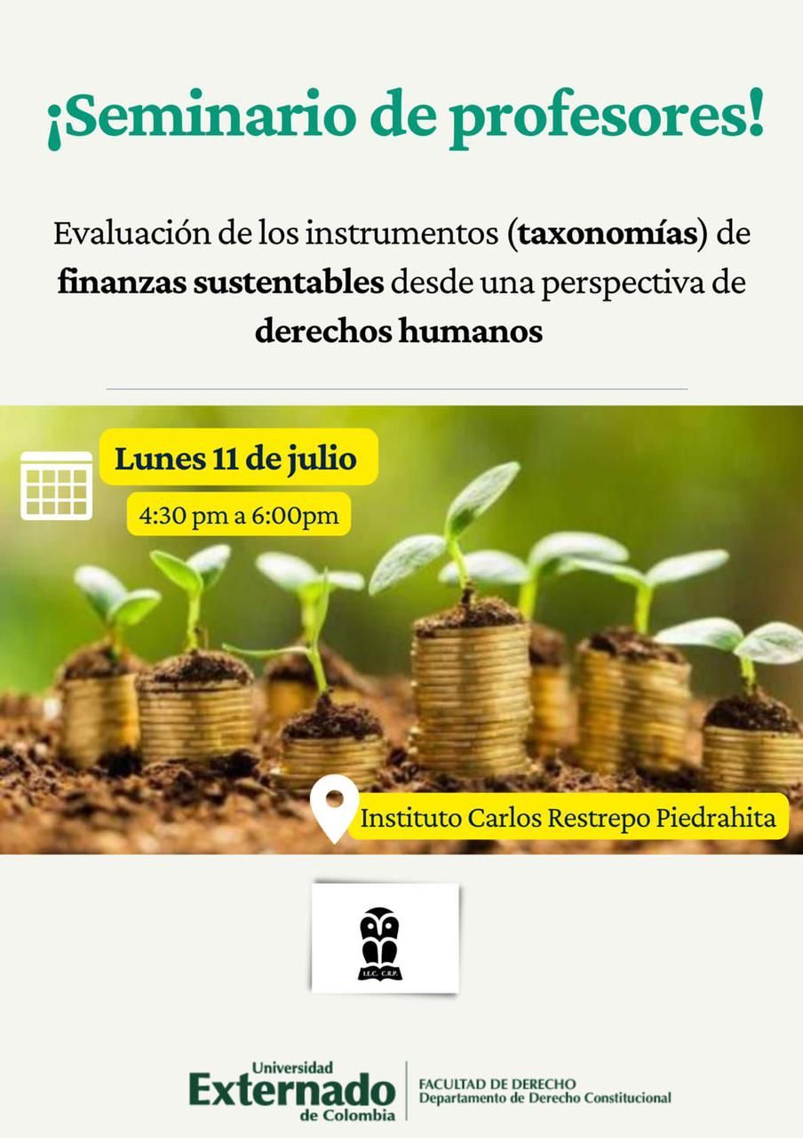 Seminario de profesores: “La evaluación de los instrumentos (taxonomías) de finanzas sustentables desde una perspectiva de Derechos Humanos”.
